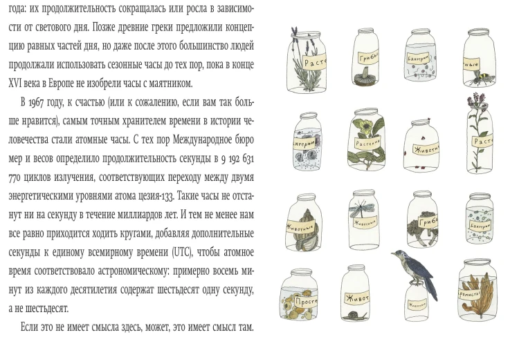 Вкус Солнца. Маленькие чудеса необъятной Вселенной