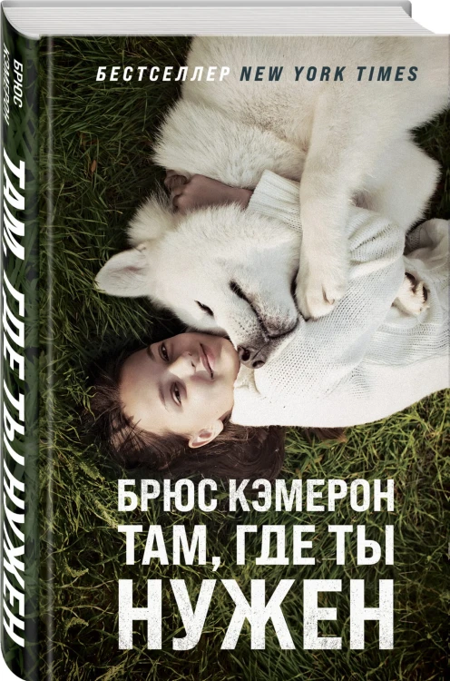 Там, где ты нужен