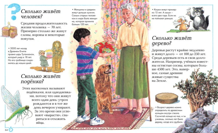 Отчего и почему? Энциклопедия для любознательных
