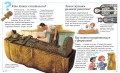 Отчего и почему? Энциклопедия для любознательных