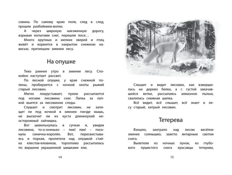 Год в лесу
