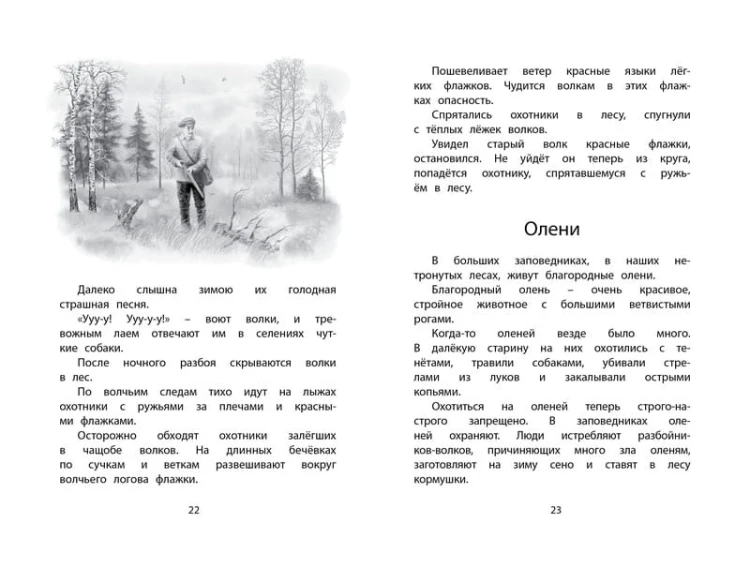 Год в лесу