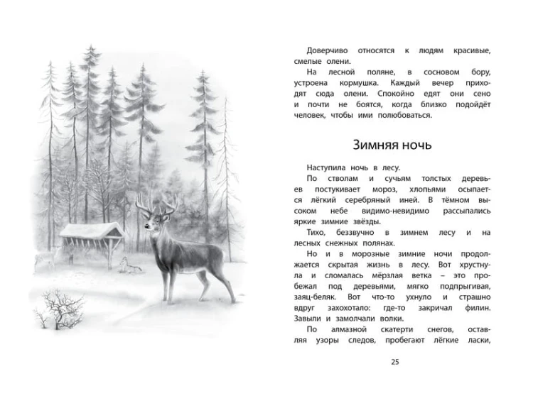 Год в лесу