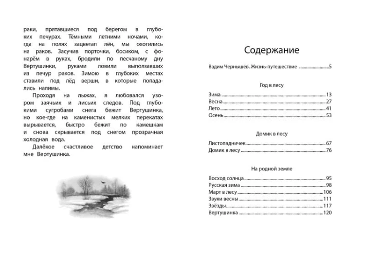 Год в лесу