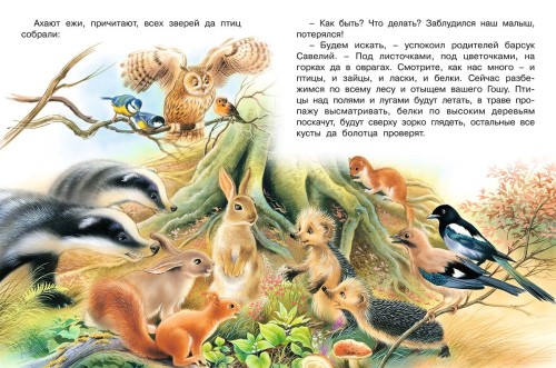 Как Ежик Гоша потерялся2.jpg