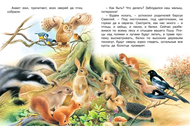 Как Ежик Гоша потерялся2.jpg