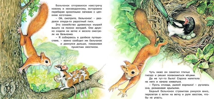 Приключения бельчонка 2.jpg