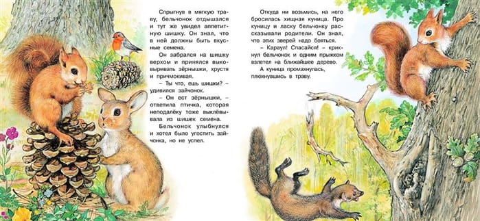 Приключения бельчонка 3.jpg