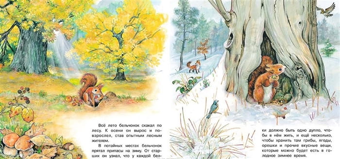 Приключения бельчонка 4.jpg