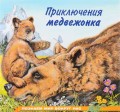 Приключения медвежонка.jpg