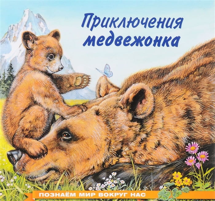 Приключения медвежонка.jpg
