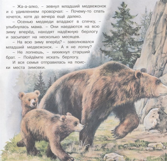 Приключения3.jpg