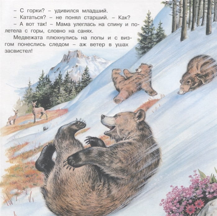 Приключения4.jpg