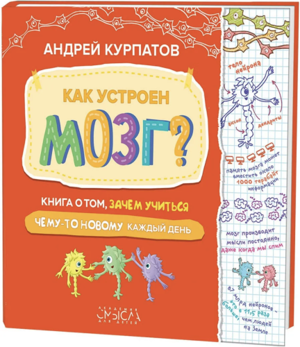 Как устроен Мозг?