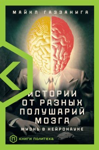 Истории от разных полушарий мозга