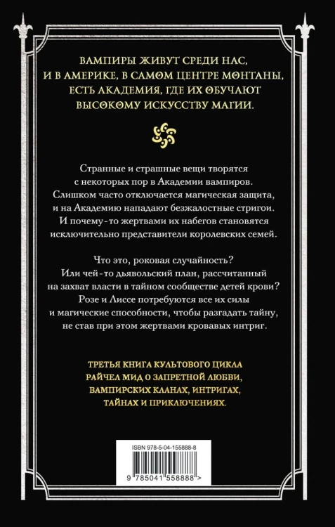 Академия вампиров. Книга 3. Поцелуй тьмы2.jpg