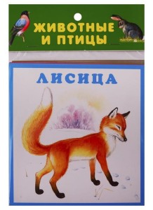 ЖИВОТНЫЕ И ПТИЦЫ