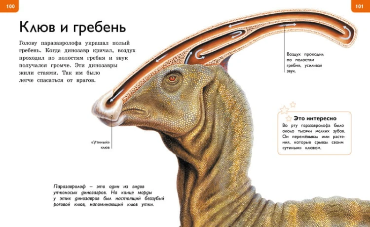Новая энциклопедия для любознательных (нов.оф.)