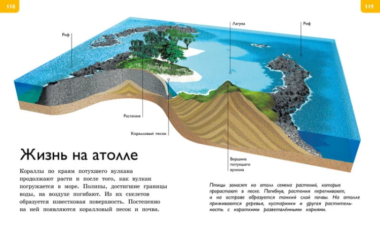 Новая энциклопедия для любознательных (нов.оф.)
