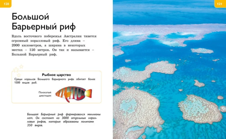 Новая энциклопедия для любознательных (нов.оф.)