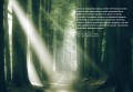 Книга Единорогов. Волшебный путеводитель по страницам фолиантов, глубинам тайных знаний и вершинам изящных искусств