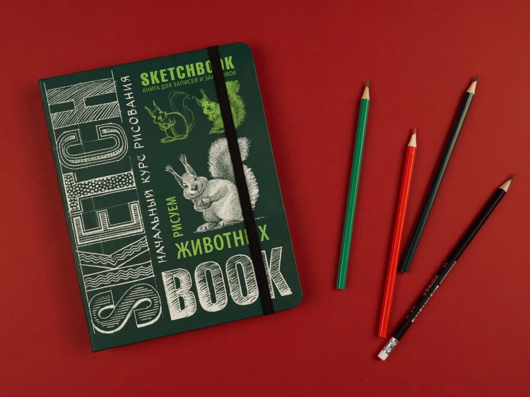 Sketchbook с уроками внутри. Рисуем животных (изумруд)