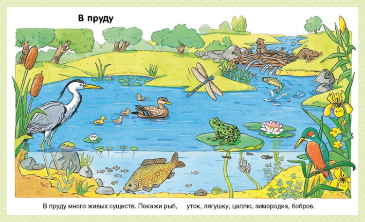 Природа (до 3-х лет, пухлая обл., импорт)