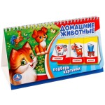 Домашние животные. Книга на пружине (3 блока)