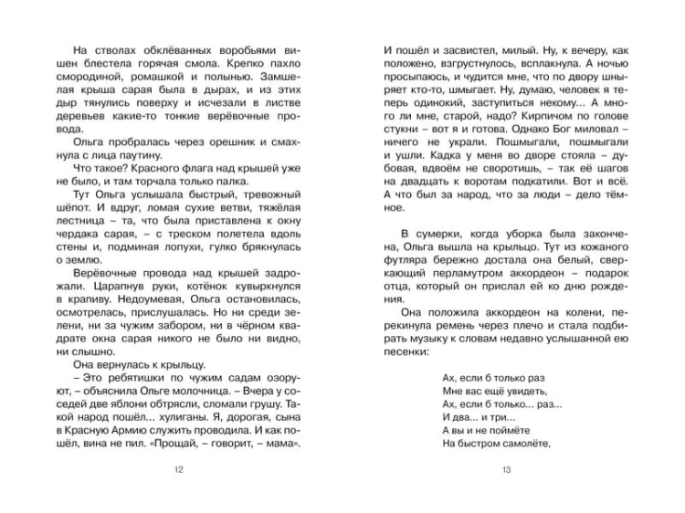 Тимур и его команда