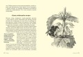 Травы: Природный источник жизненной силы