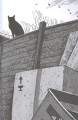 Торнхилл3.jpg