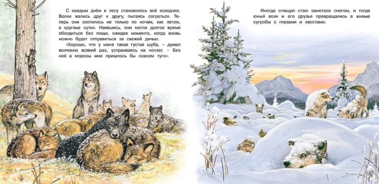 Screenshot 2021-11-25 at 17-19-58 Книга Комплект №18 Приключения зайчонка, бельчонка, лисенка, волчонка Гурина Ирина Валерь[...].png