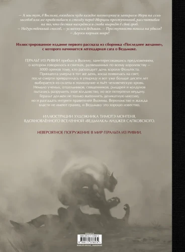 Ведьмак 2.webp