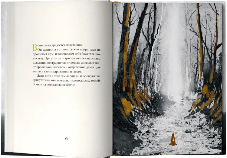 Книга воина света
