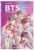 BTS: в погоне за мечтой. Биография любимых артистов в комиксах
