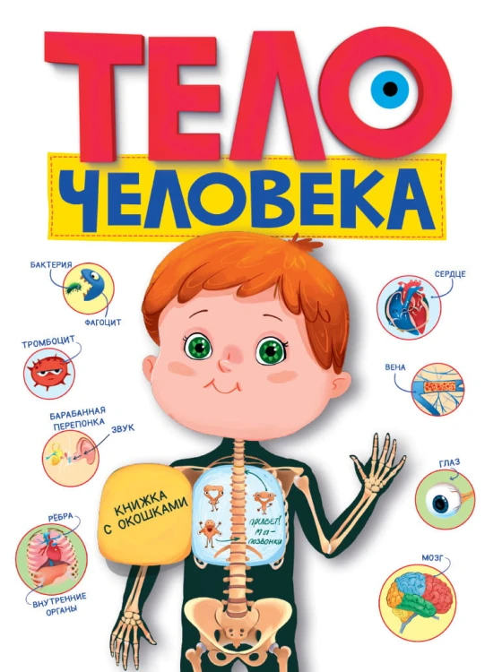 КНИЖКА С ОКОШКАМИ. Тело человека