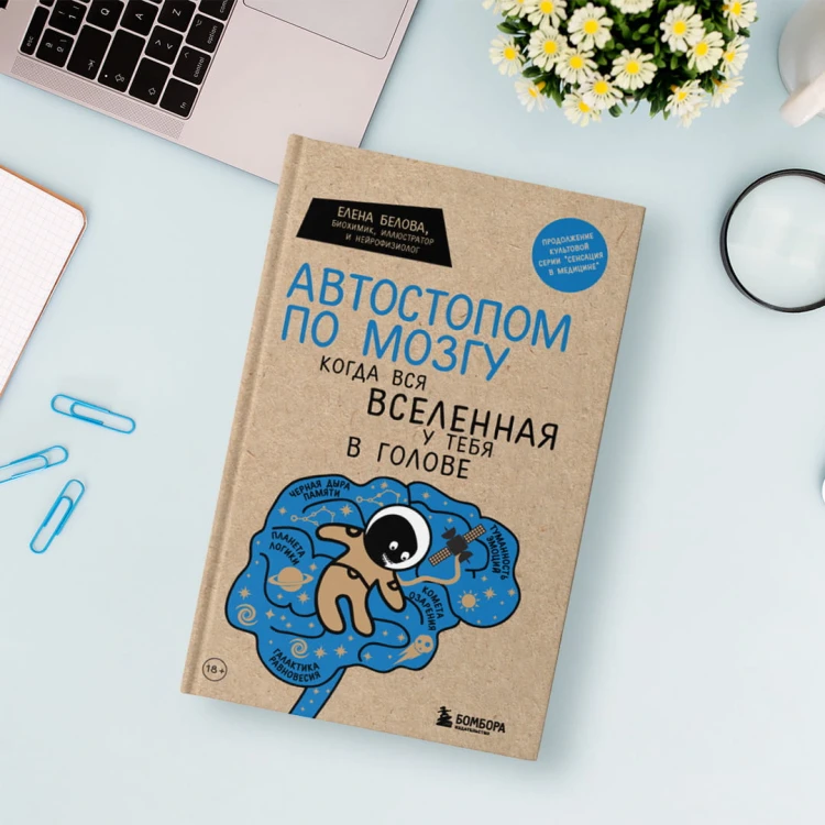 Автостопом по мозгу. Когда вся вселенная у тебя в голове