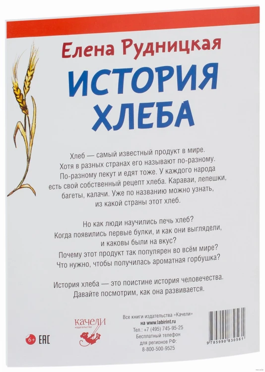 10571436_100.jpg