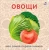 Книжки - картонки. Овощи.webp