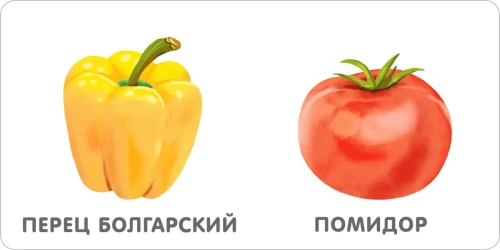 Книжки - картонки. Овощи2.webp