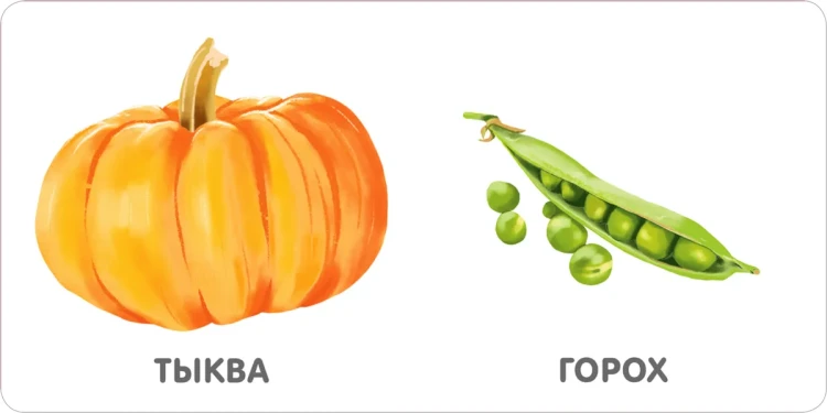 Книжки - картонки. Овощи3.webp
