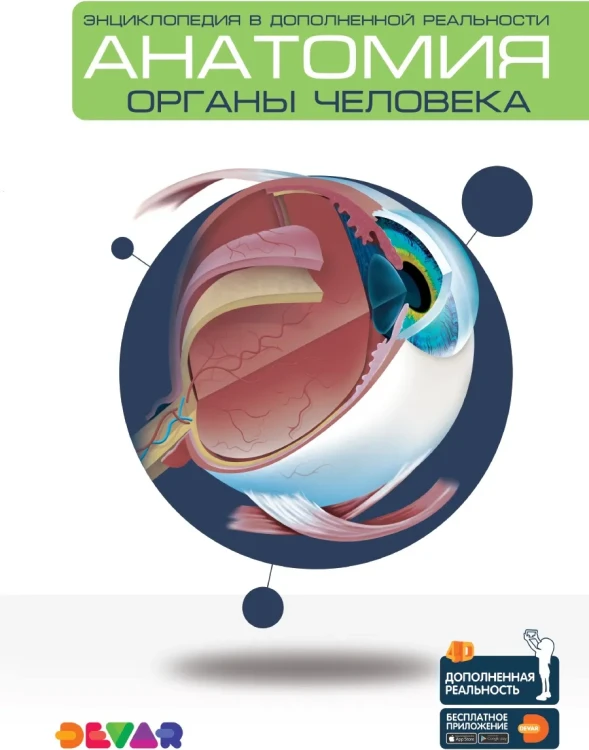Анатомия- Органы человека. Энциклопедия в дополненной реальности.webp