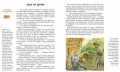 10607019_3.jpg
