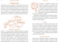 Парням о важном. Все, что ты хотел знать о взрослении, изменениях тела, отношениях и многом другом