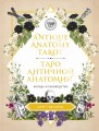 Antique Anatomy Tarot. Таро античной анатомии