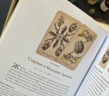 Antique Anatomy Tarot. Таро античной анатомии