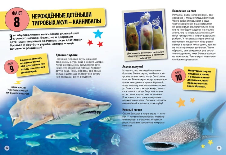 Всё об окружающем мире с научной точки зрения