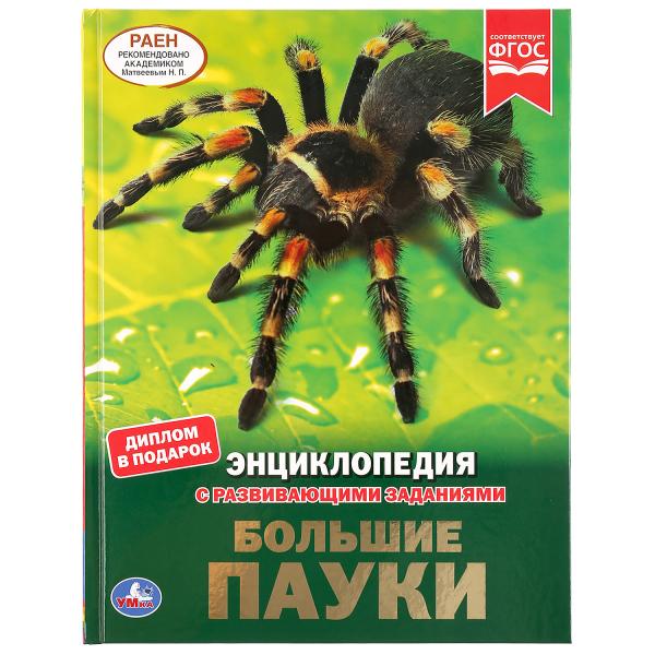 БОЛЬШИЕ ПАУКИ (ЭНЦИКЛОПЕДИЯ А4 С РАЗВИВАЮЩИМИ ЗАДАНИЯМИ).