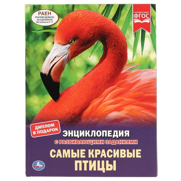 САМЫЕ КРАСИВЫЕ ПТИЦЫ (ЭНЦИКЛОПЕДИЯ А4). ТВЕРДЫЙ ПЕРЕПЛЕТ. БУМАГА МЕЛОВАННАЯ 130Г