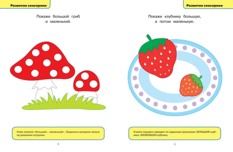 Развивающие тесты (1-2 года)
